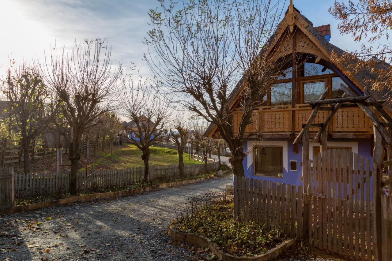 Casele Cu Stuf B&B Haus Ulrike Salicea Exterior photo