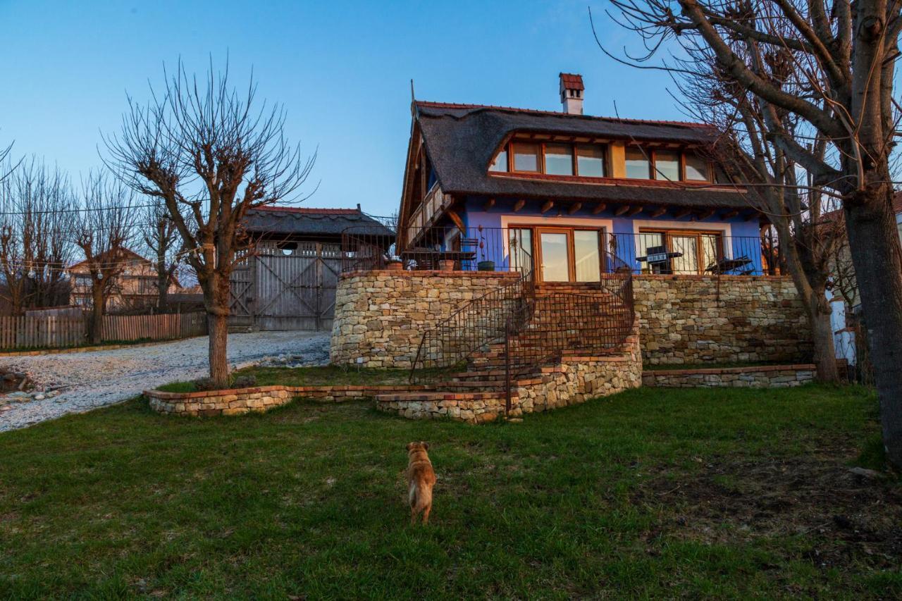 Casele Cu Stuf B&B Haus Ulrike Salicea Exterior photo