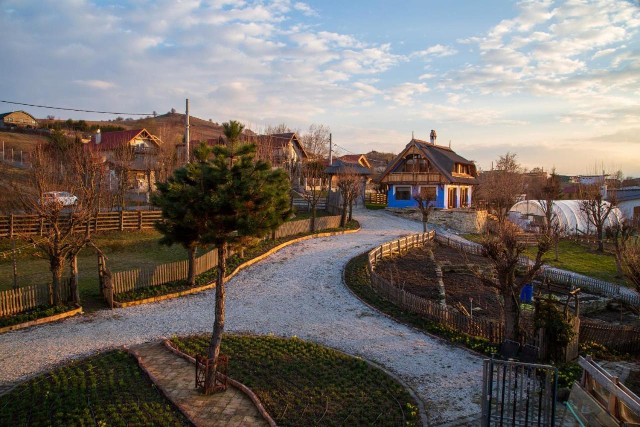 Casele Cu Stuf B&B Haus Ulrike Salicea Exterior photo