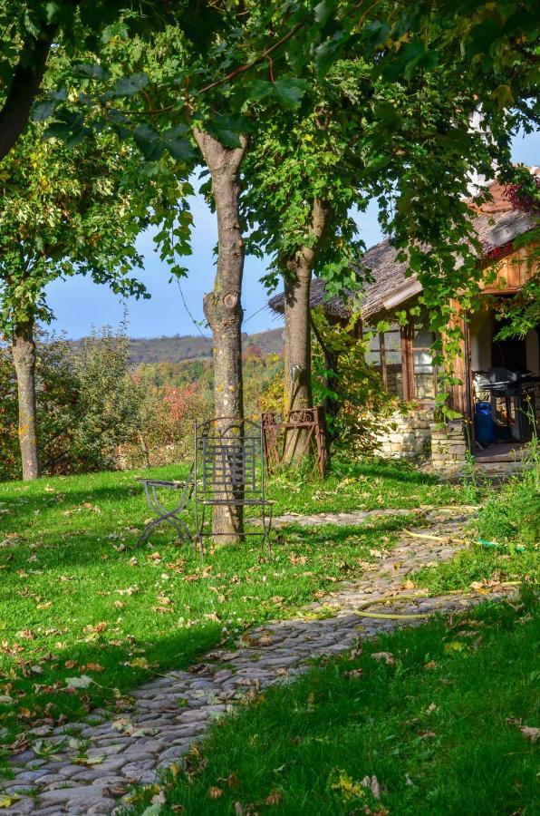 Casele Cu Stuf B&B Haus Ulrike Salicea Exterior photo