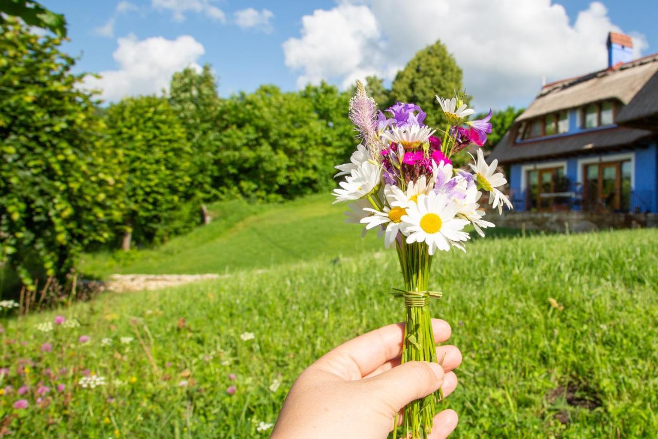 Casele Cu Stuf B&B Haus Ulrike Salicea Exterior photo