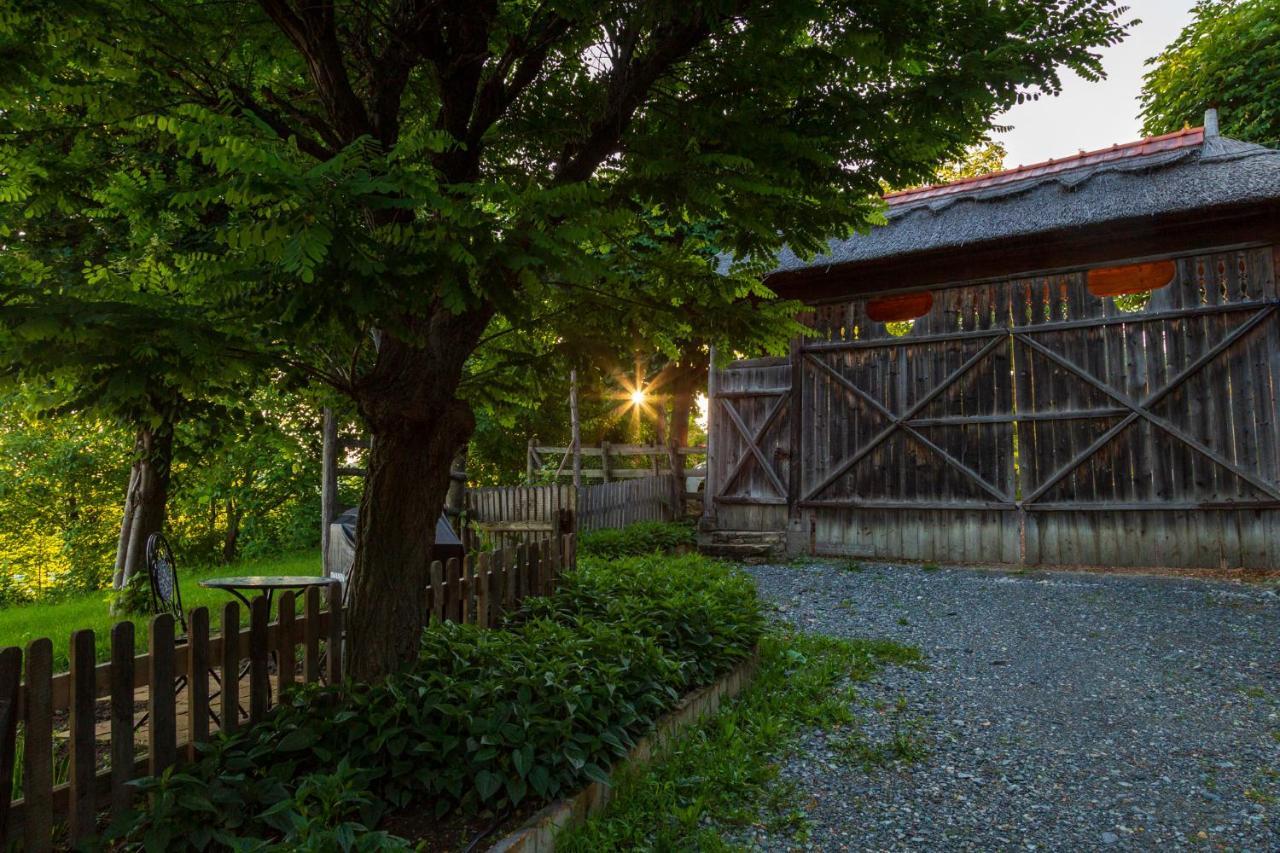 Casele Cu Stuf B&B Haus Ulrike Salicea Exterior photo