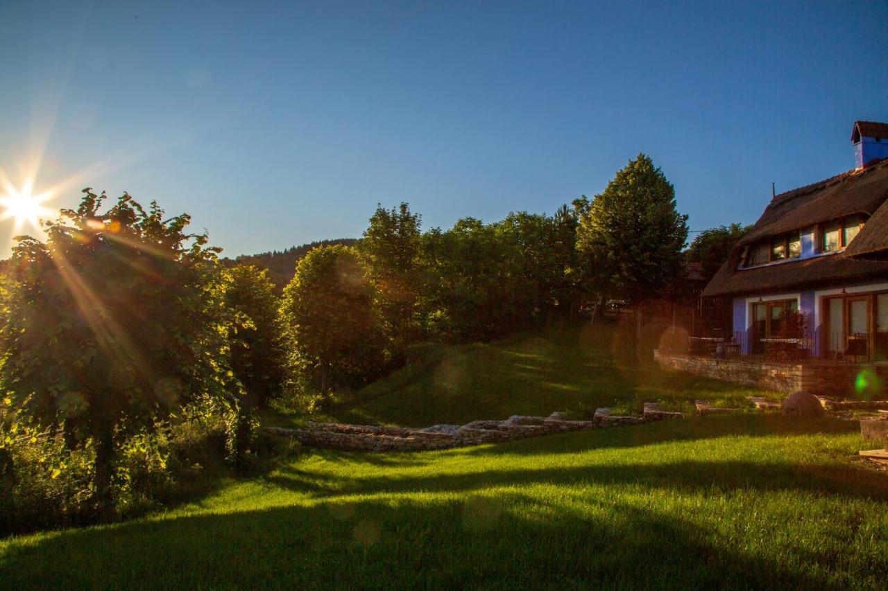 Casele Cu Stuf B&B Haus Ulrike Salicea Exterior photo